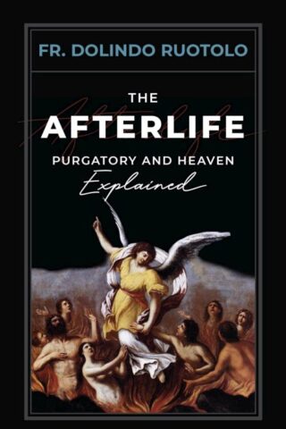9781644136522 Afterlife : Purgatory And Heaven Explained
