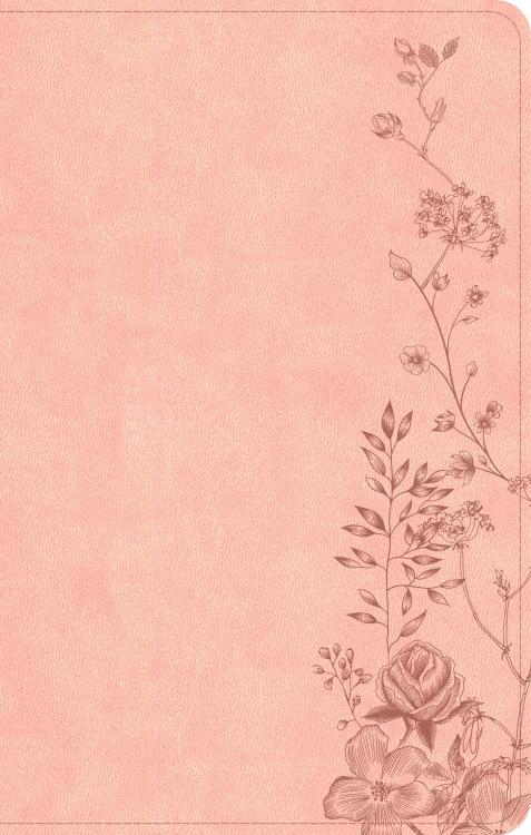 9798384533443 Single Column Compact Bible Digital Study Edition