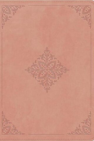 9798874902681 Study Bible