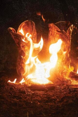 198029054729 Walk Through Fire