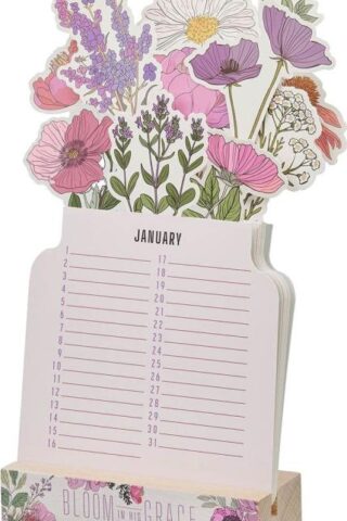 6006937178311 Inspirational Scripture Perpetual Table Top Undated Desk Calendar for Women: Blo