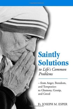 9781928832379 Saintly Solutions : To Lifes Common Problems