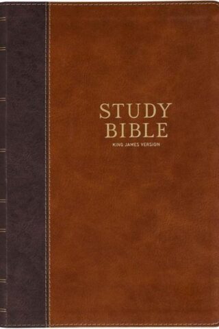 9798896780373 Large Print Bible
